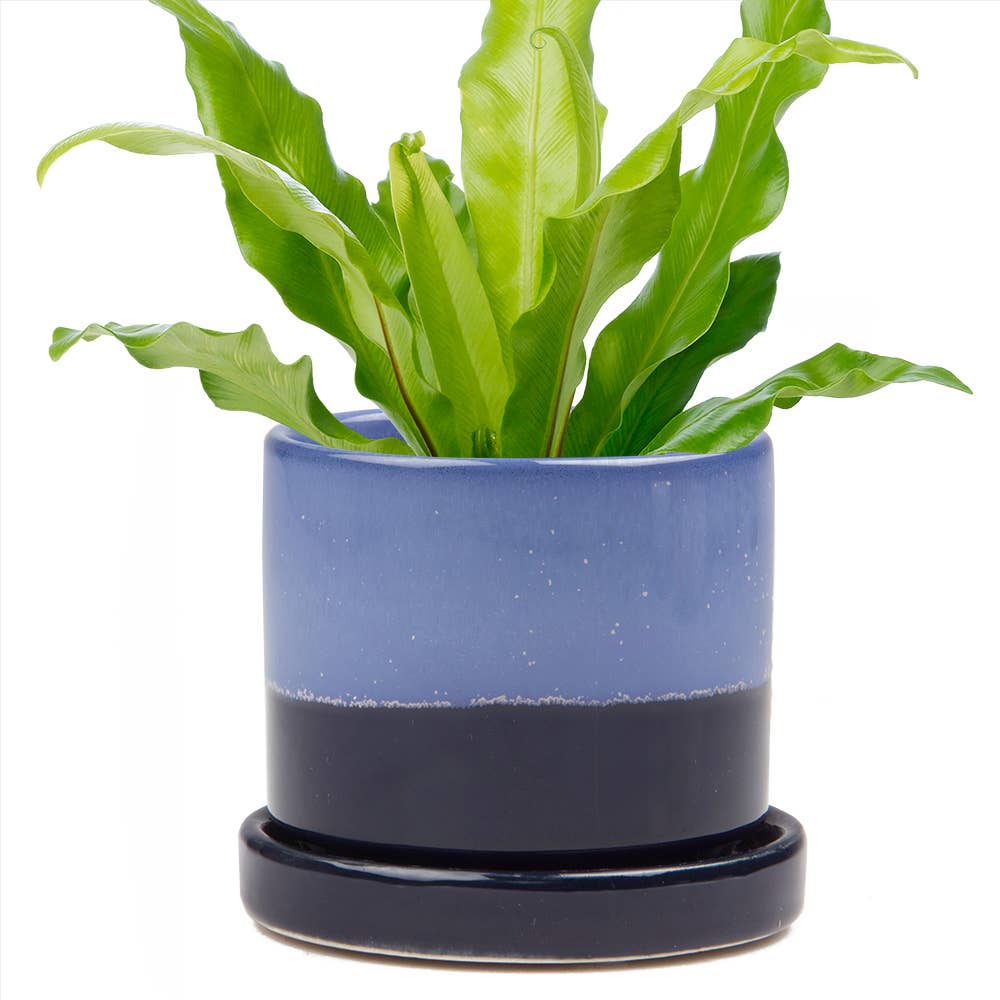 Minute Ceramic Plant Pots Indoor: Green Layers / 5"