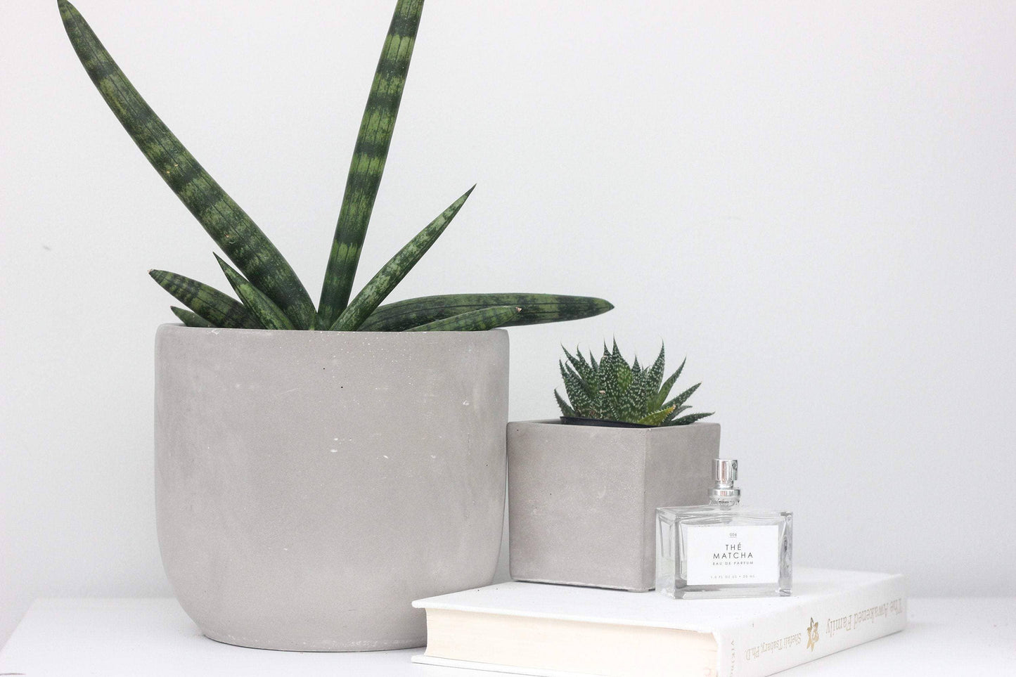 Round Concrete Indoor Planter Pot: 5"