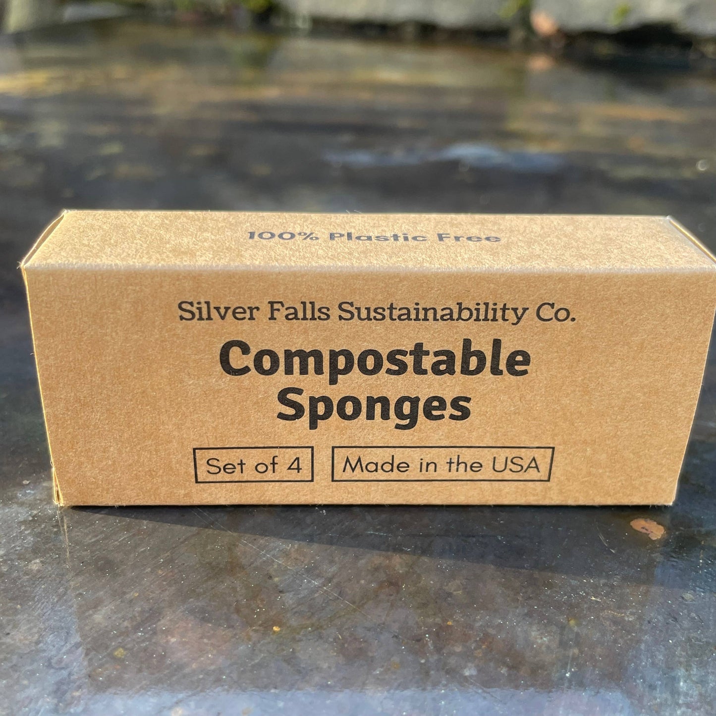 Compostable Sponges (Pack of 4) 