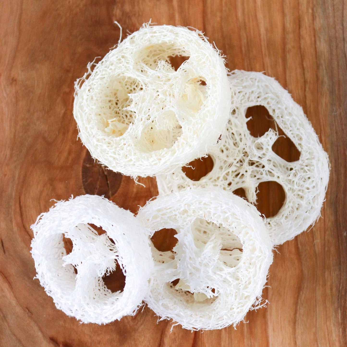 Loofah Single Piece | Loofah Slice/Soap Riser: Medium Loofah