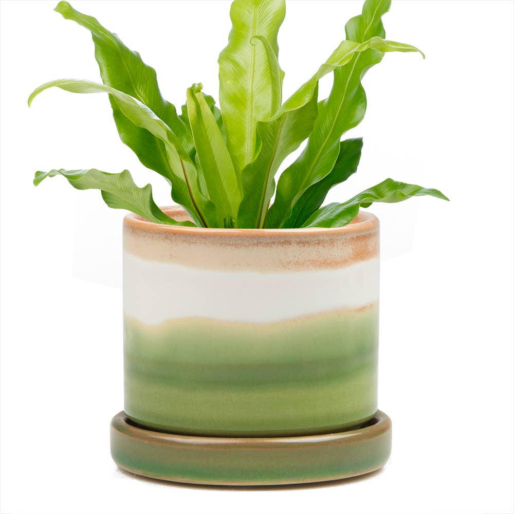 Minute Ceramic Plant Pots Indoor: Green Layers / 5"