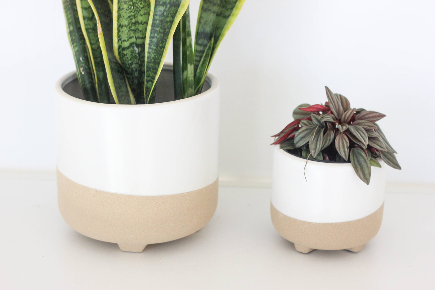 Small Neutral Matte White and Natural Minimal Footed Planter: 5