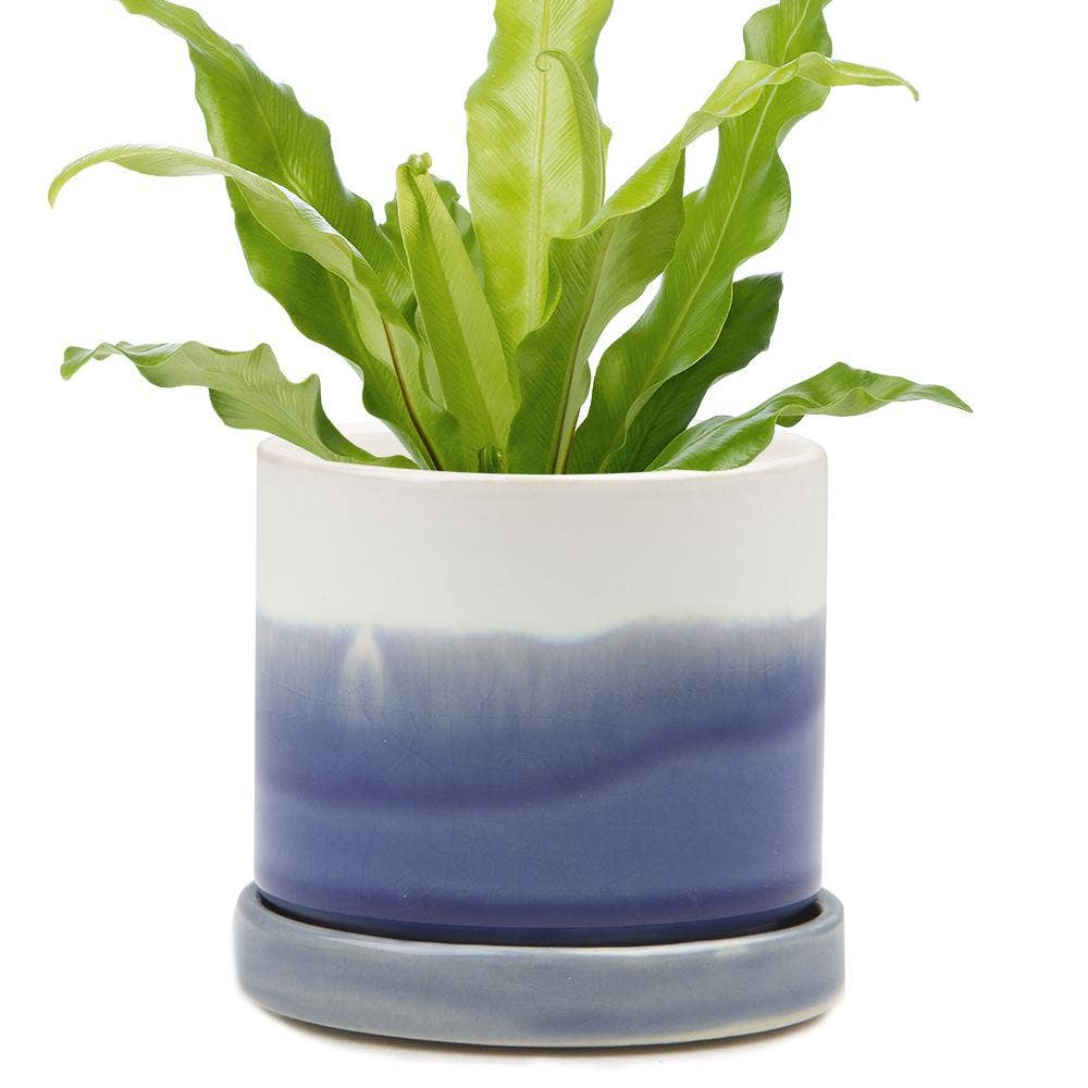 Minute Ceramic Plant Pots Indoor: Green Layers / 5"