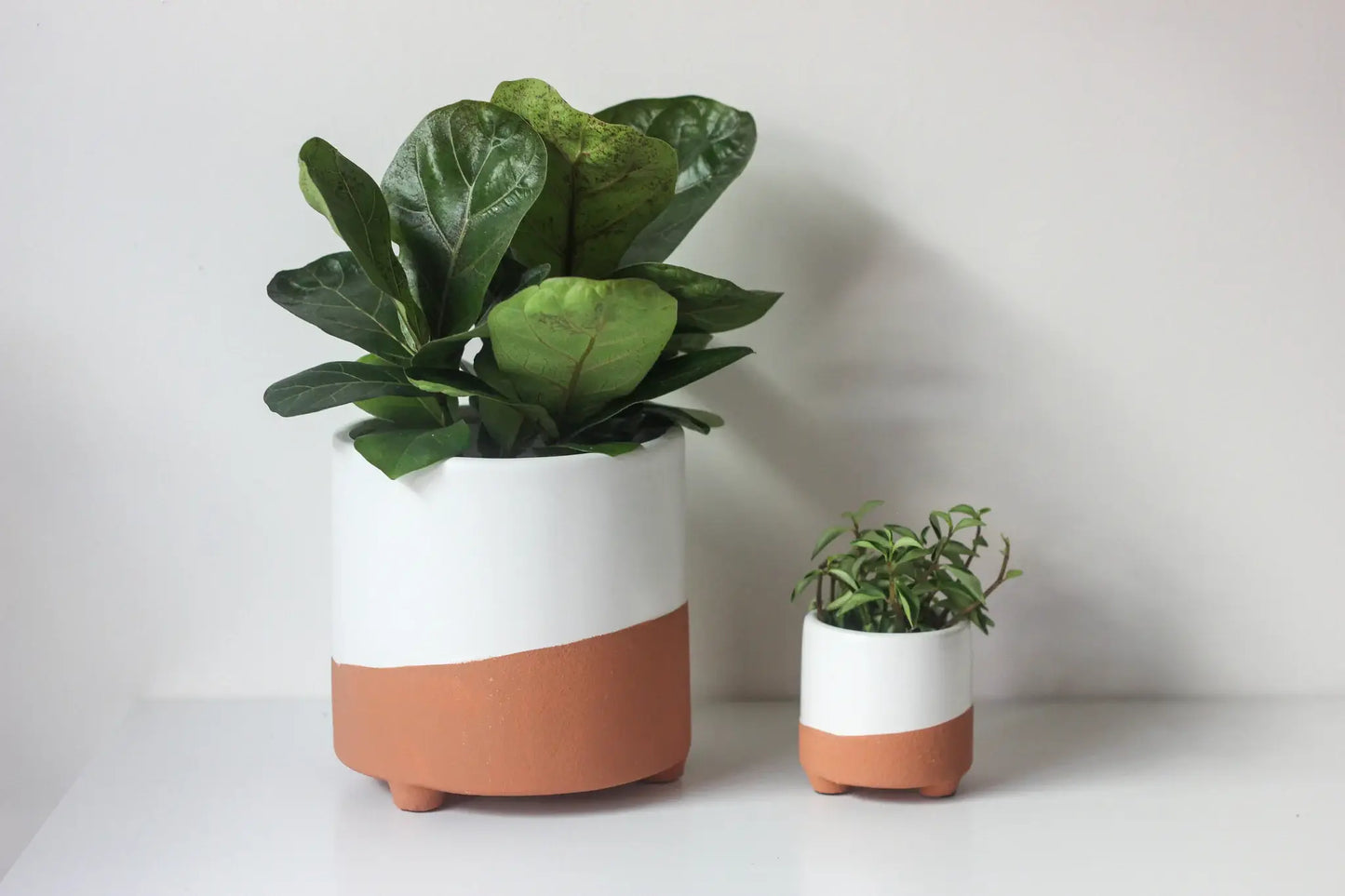 Large Terracotta and White Footed Boho Minimal Planter Pot: 7"