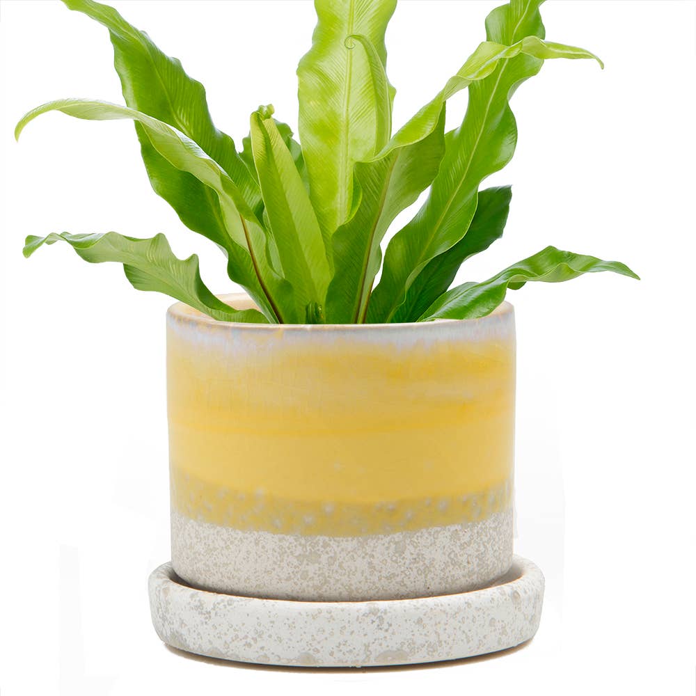 Minute Ceramic Plant Pots Indoor: Green Layers / 5"