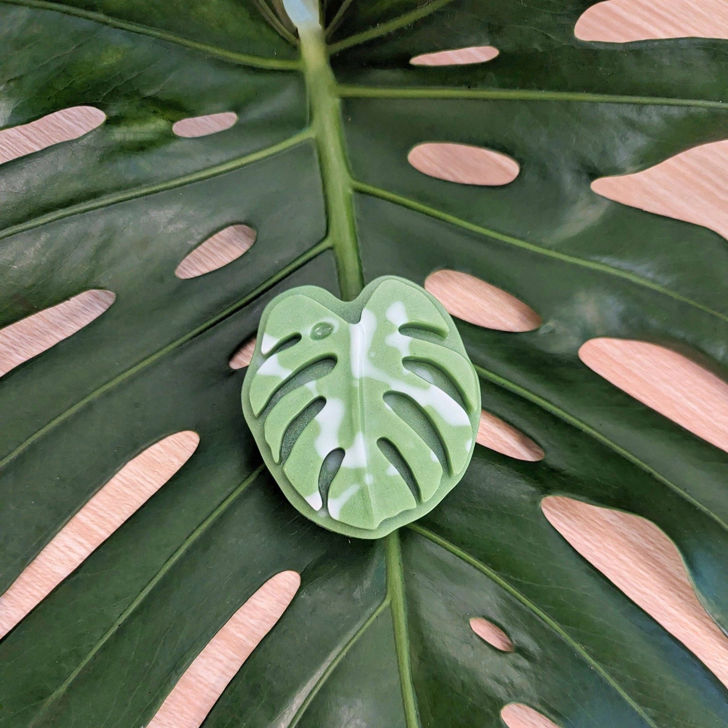 Monstera Leaf