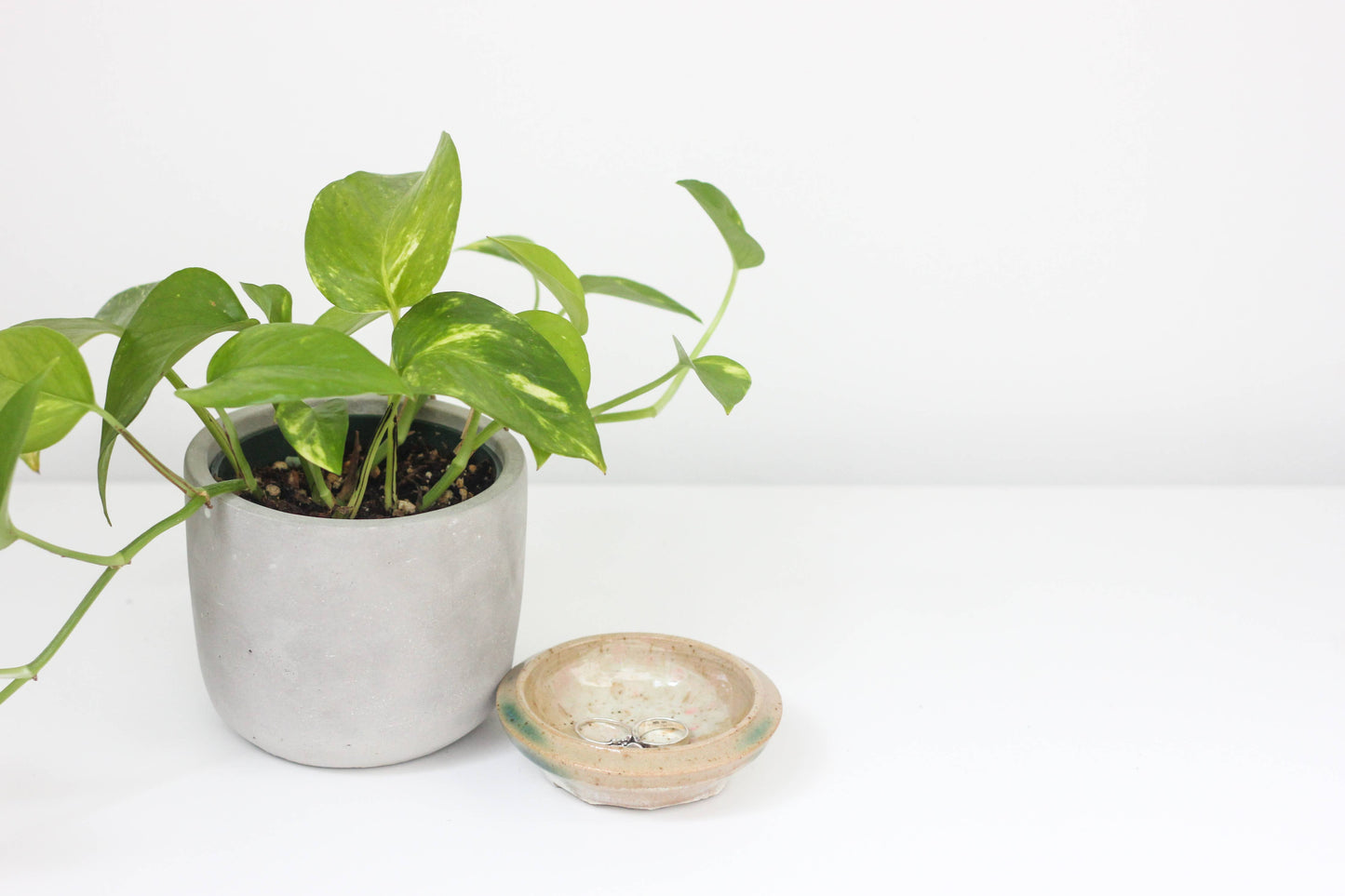 Round Concrete Indoor Planter Pot: 5"