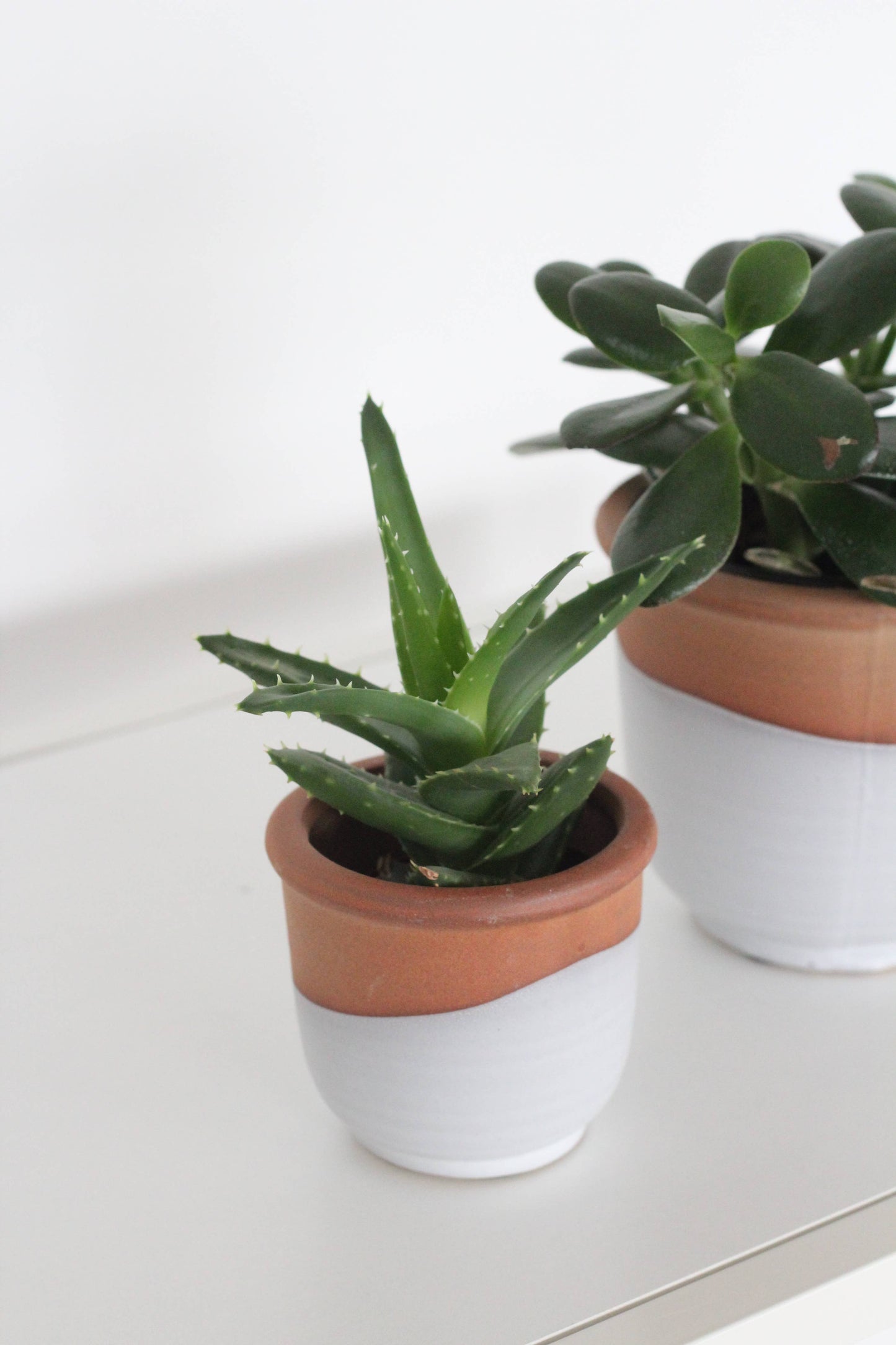 Small Terracotta and Matte White Boho Ceramic Planter Pot: 5