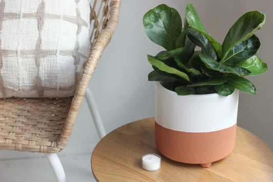 Large Terracotta and White Footed Boho Minimal Planter Pot: 7"