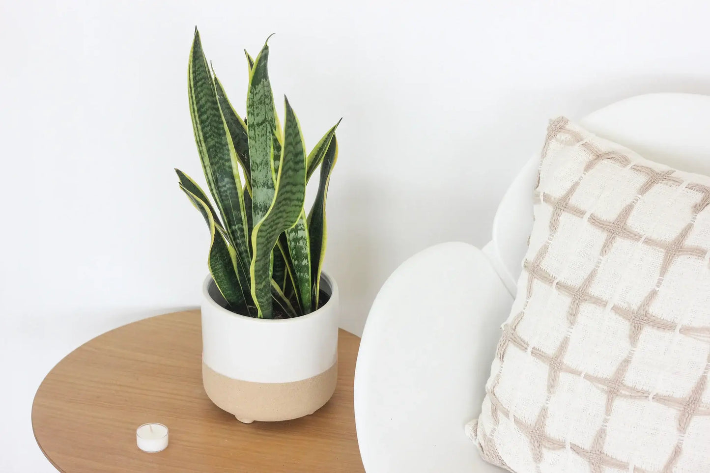 Small Neutral Matte White and Natural Minimal Footed Planter: 5