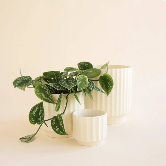 Monroe Pot | Vintage White: 6.75 inch
