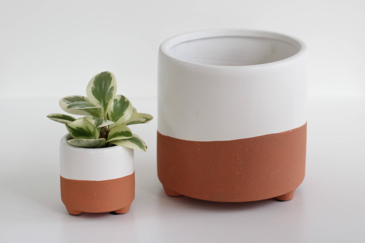 Small Terracotta and White Footed Boho Minimal Planter Pot: 5"