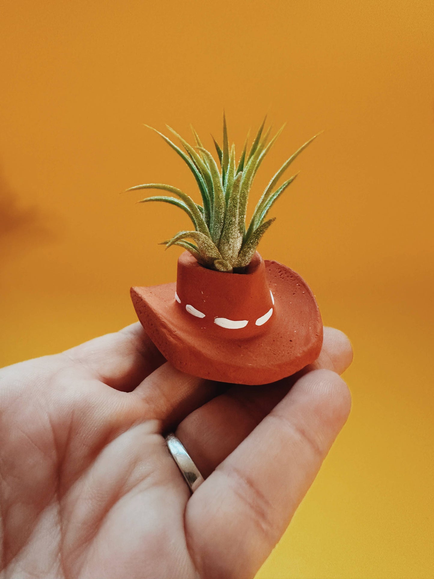 Terracotta Cowboy Hat Mini Planter with Air Plant