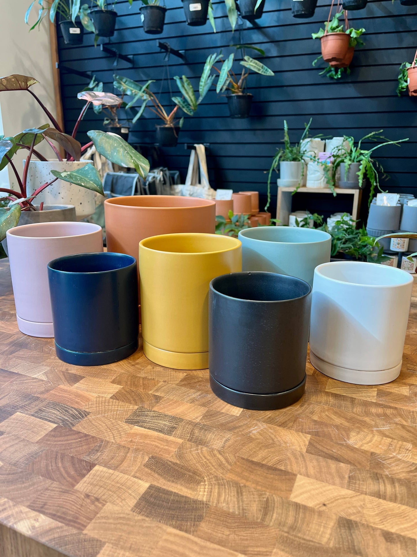 Romey Pot and Saucer: 4.75" Pot / White