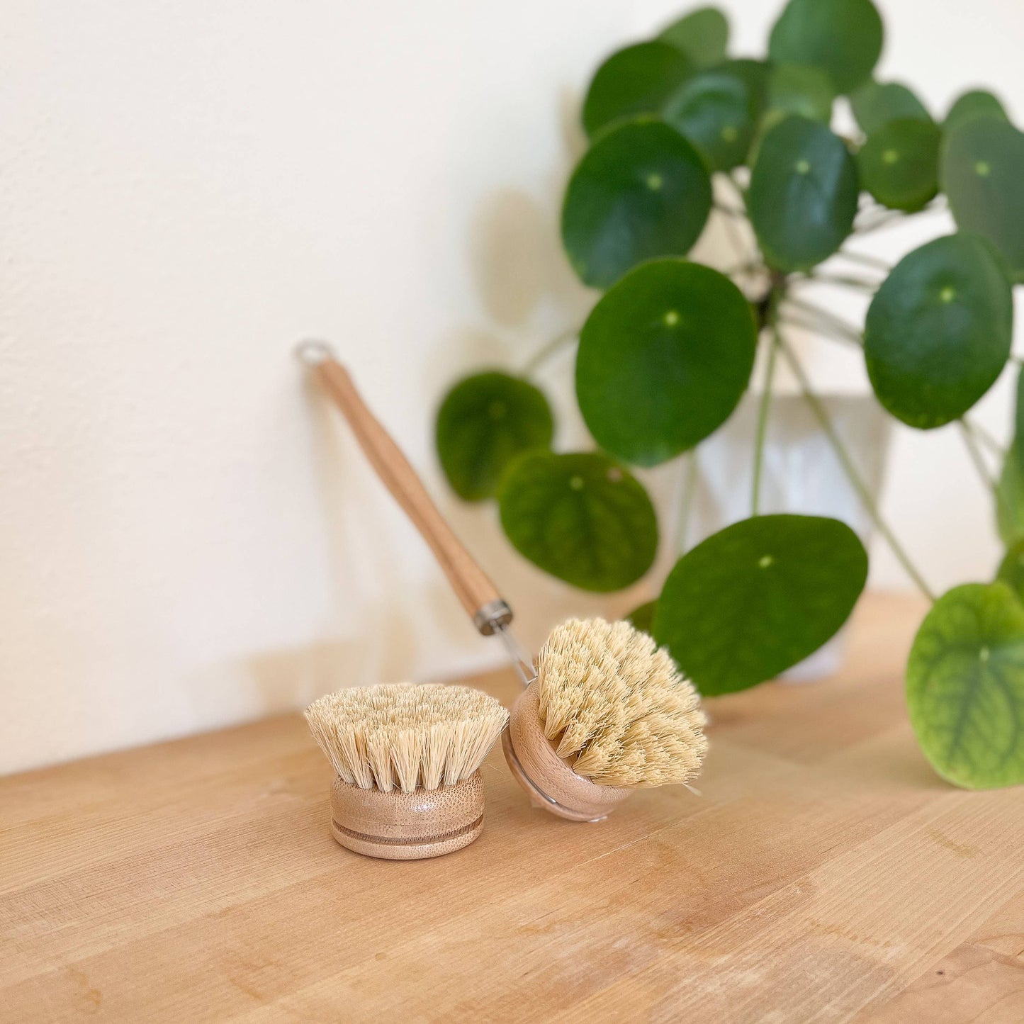 Long Handle Dish Brush