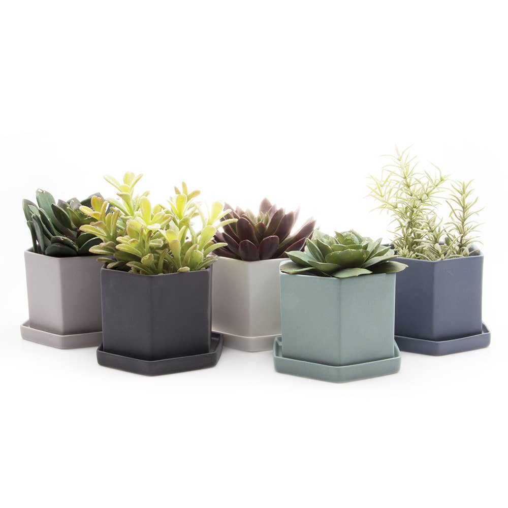 Hexi Ceramic Pots and Planters: White / 3.5"