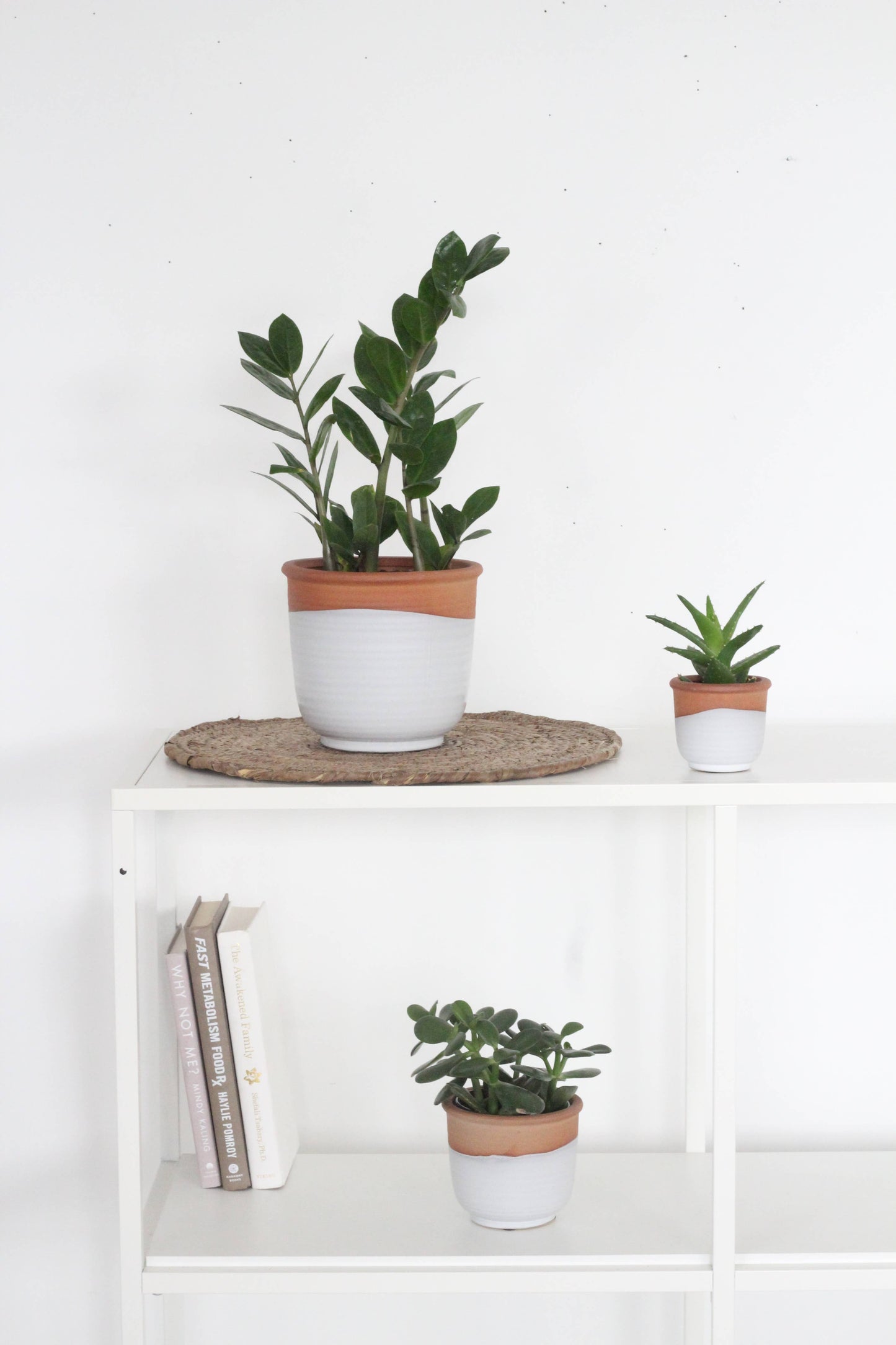 Small Terracotta and Matte White Boho Ceramic Planter Pot: 5