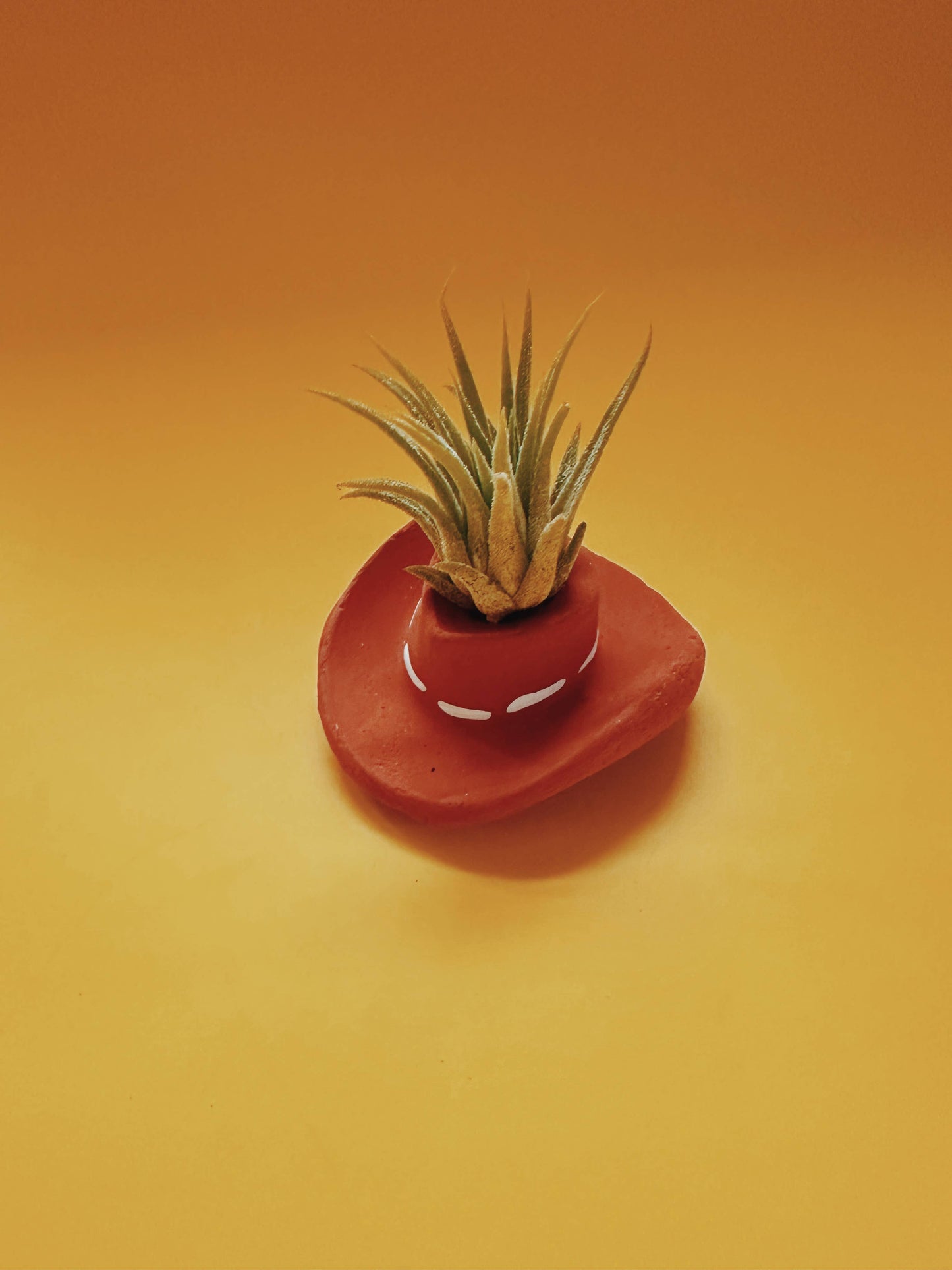 Terracotta Cowboy Hat Mini Planter with Air Plant