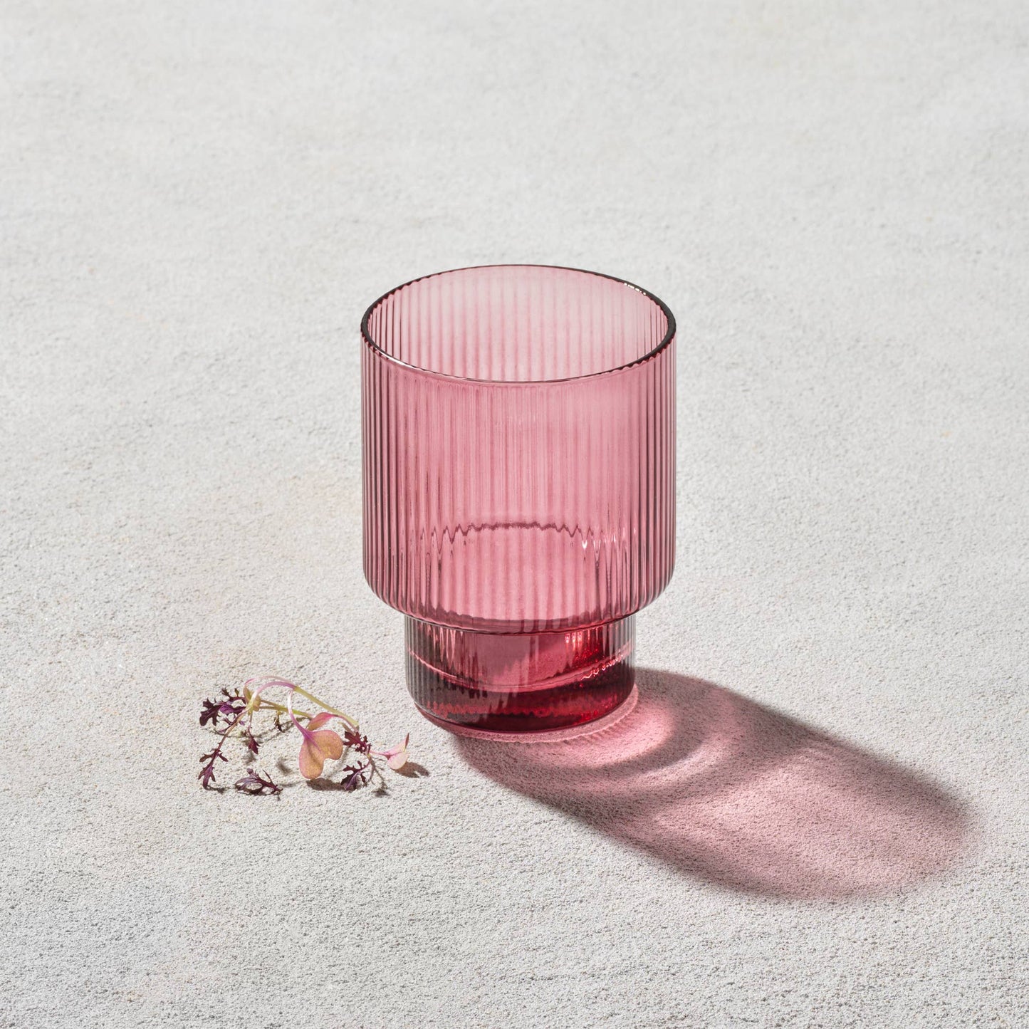 Vikko Decor - Malibu, Ribbed Glass, Plum, MULTIPLE SHAPES: 10 OZ Coupe Champagne