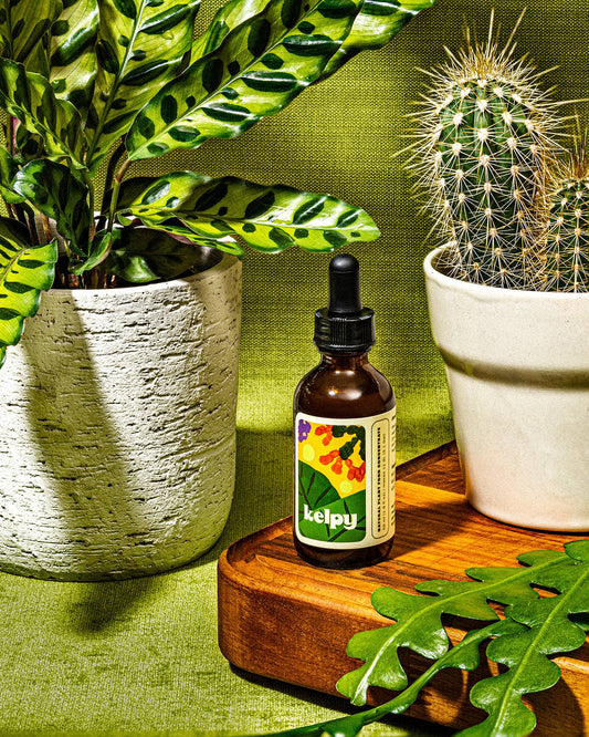 Kelpy Plant Food 59 ml / 1.9 fl oz "Starter Size"