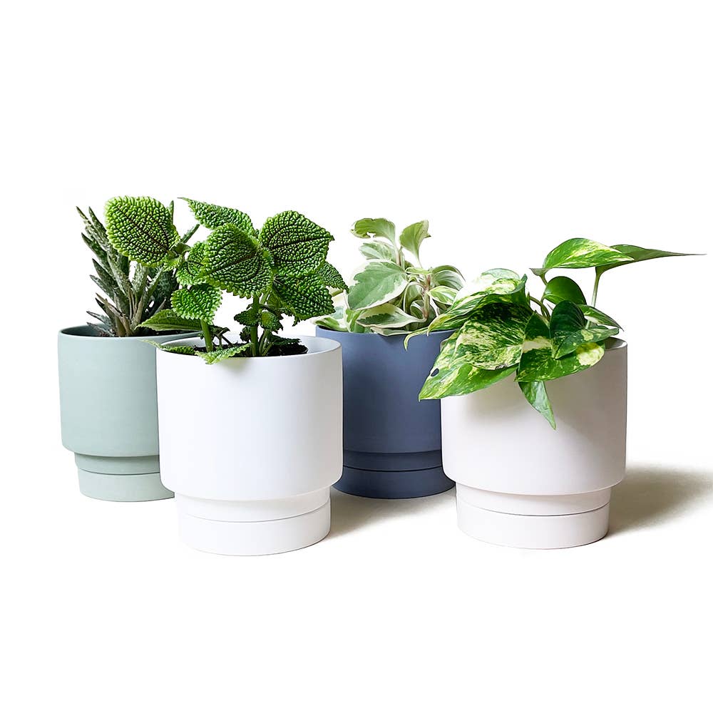 Casey Pots and Planters: White