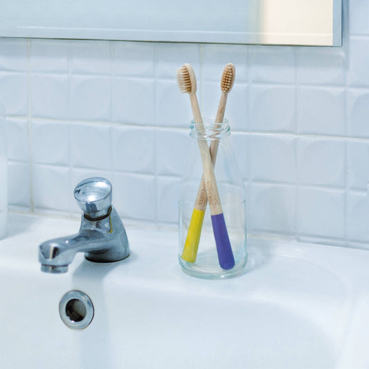Biodegradable Bamboo Toothbrushes