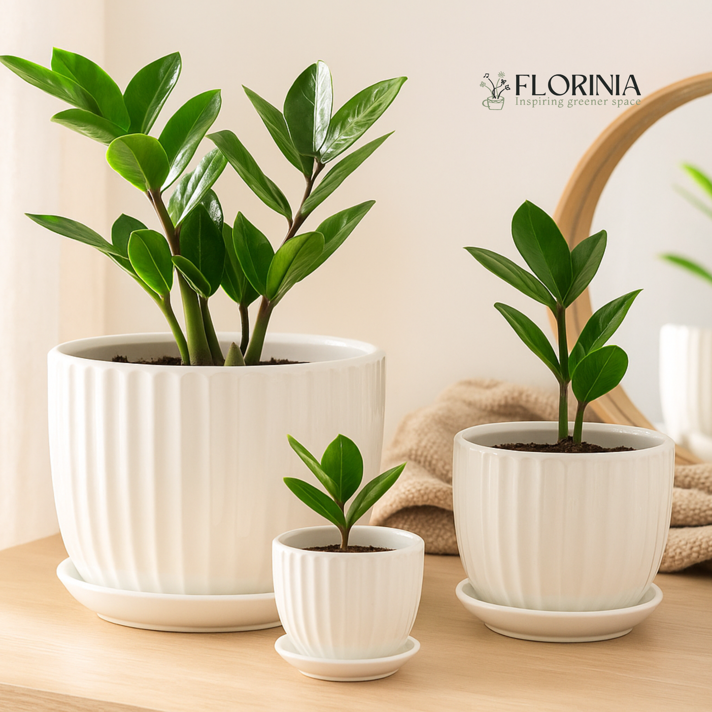 4.2 inch White Ceramic Planter Pot Set with Vertical Fluted Design & Matching Saucers