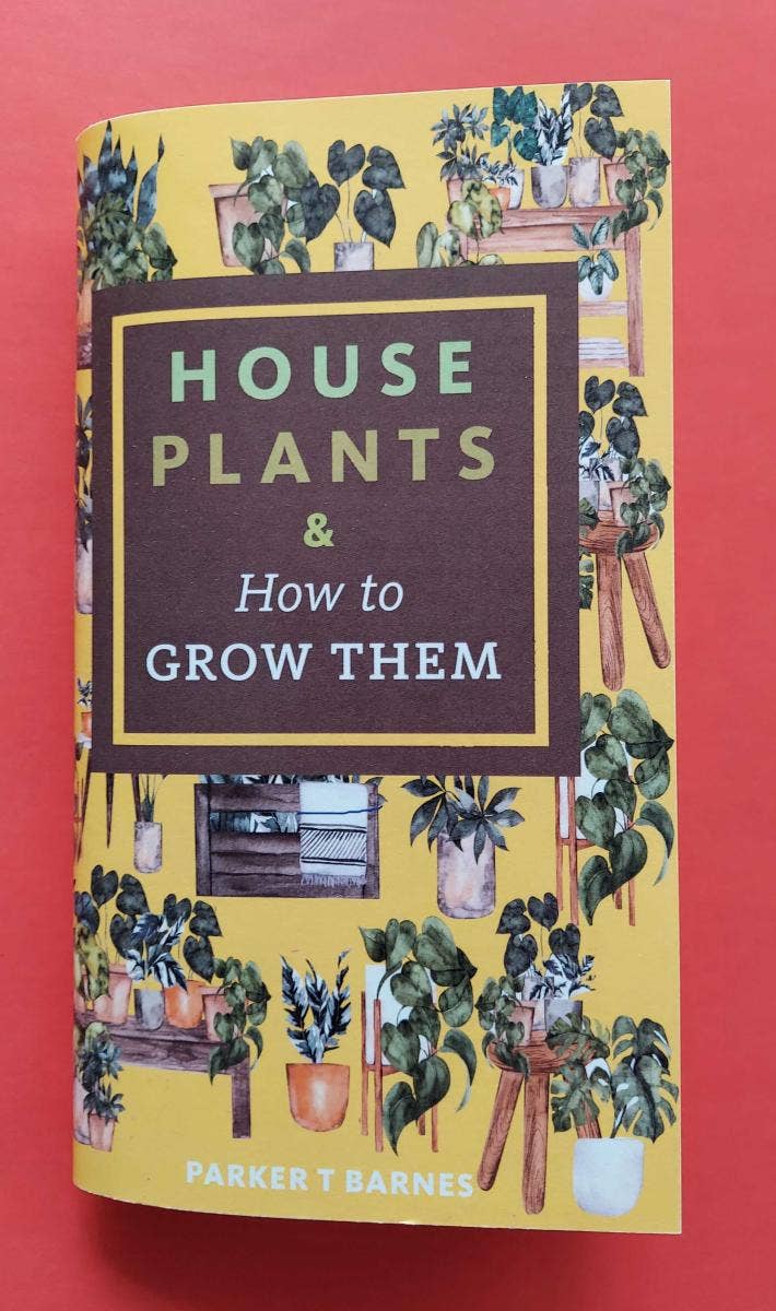 Houseplants & How to Grow Them