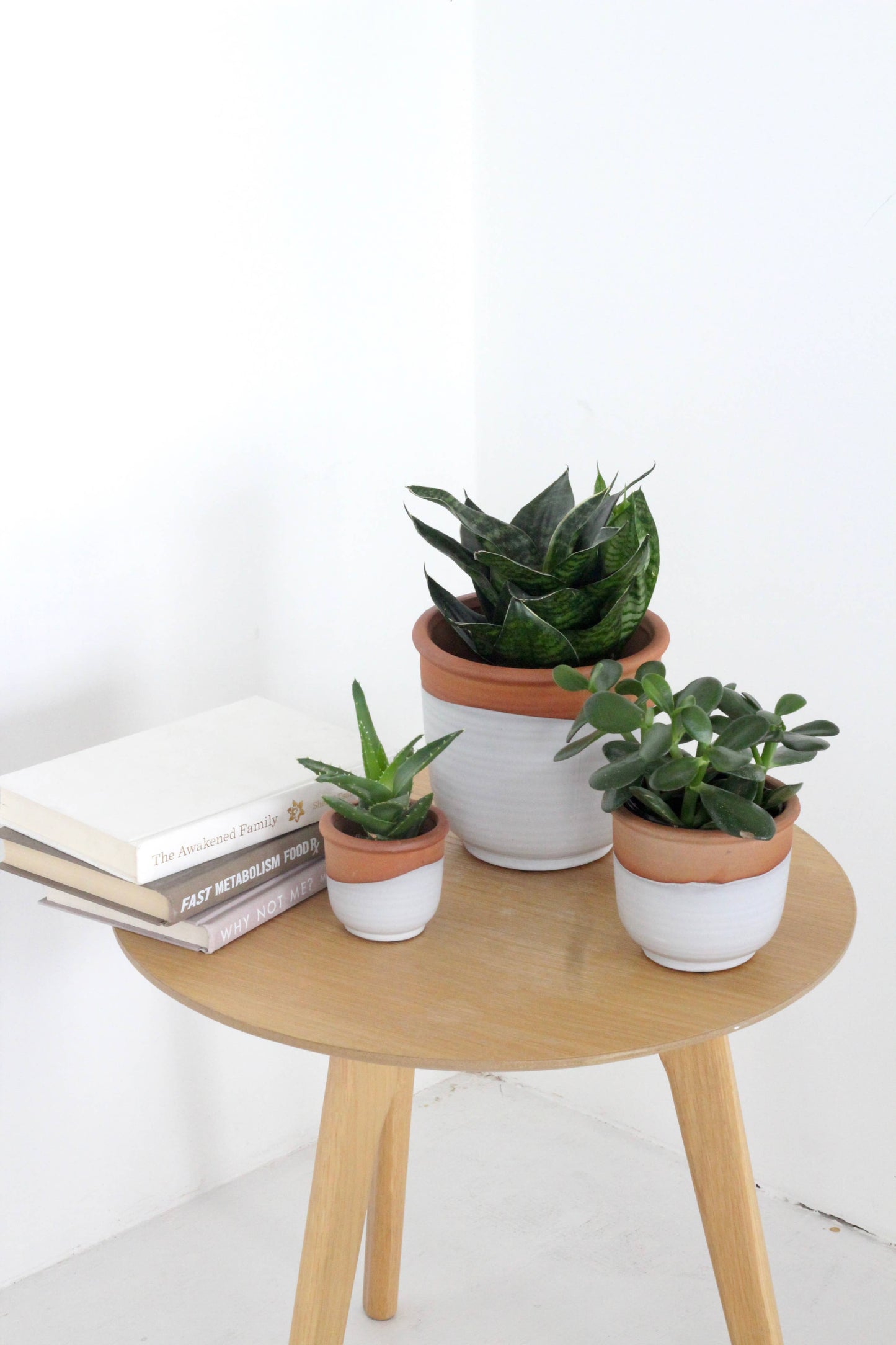 Small Terracotta and Matte White Boho Ceramic Planter Pot: 5