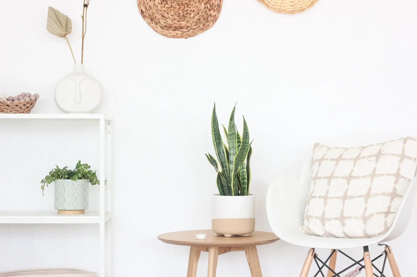 Large Neutral Matte White and Natural Minimal Footed Planter: 7