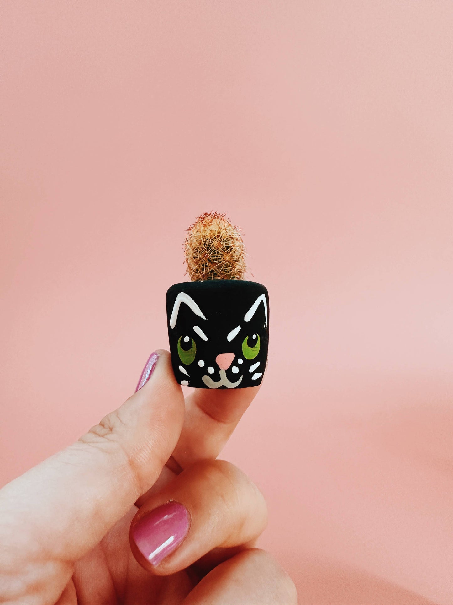 Black Cat Mini Planter with Cactus