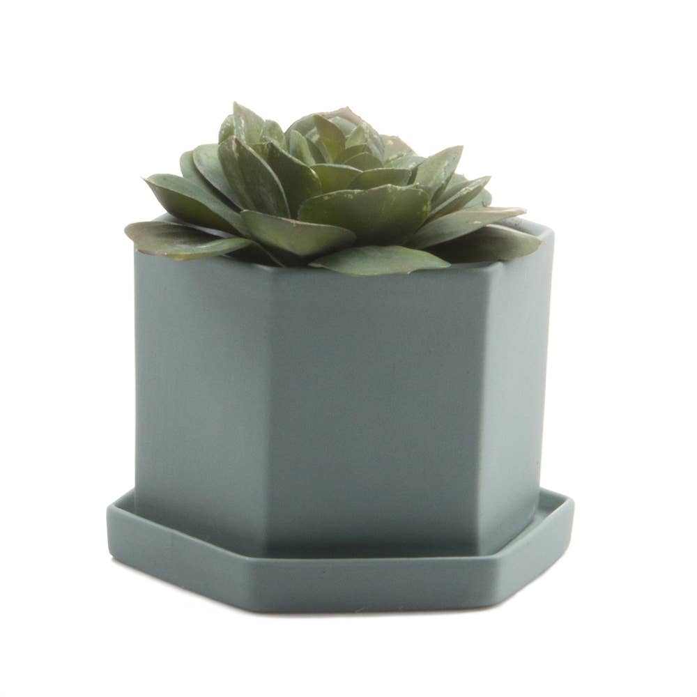 Hexi Ceramic Pots and Planters: White / 3.5"