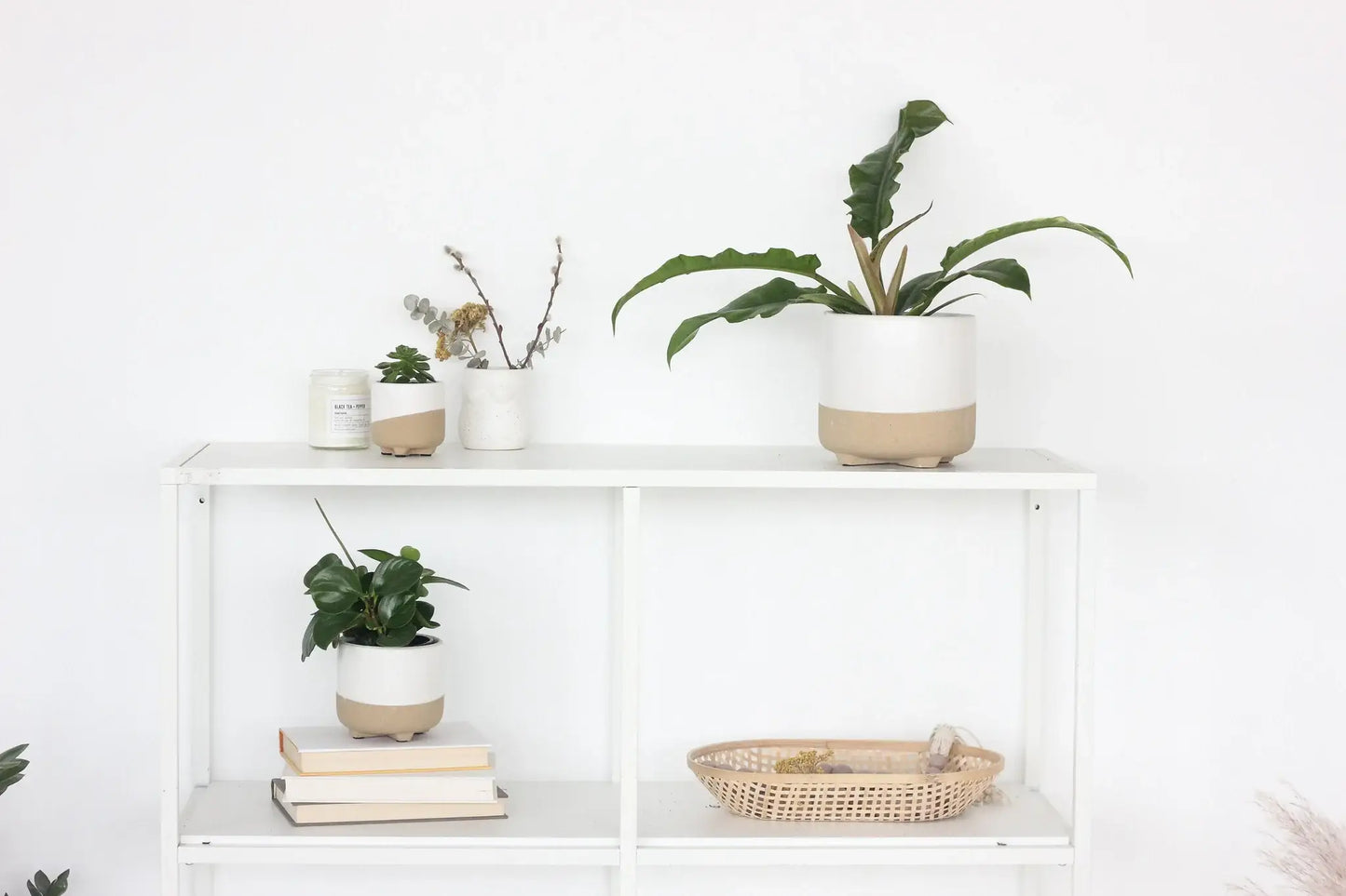 Large Neutral Matte White and Natural Minimal Footed Planter: 7