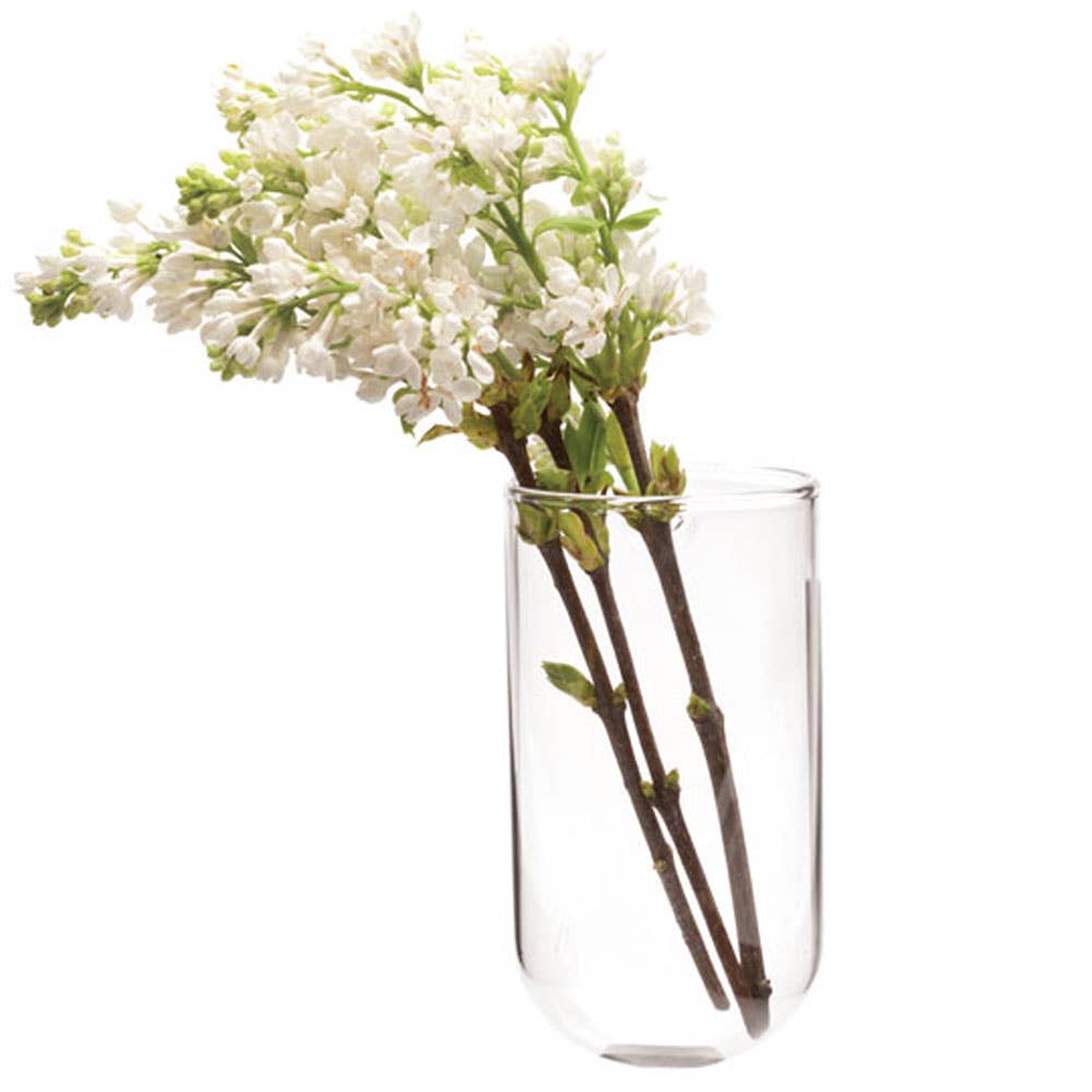 Hudson 2 Wall Cup, Hanging Glass Planter / Vase