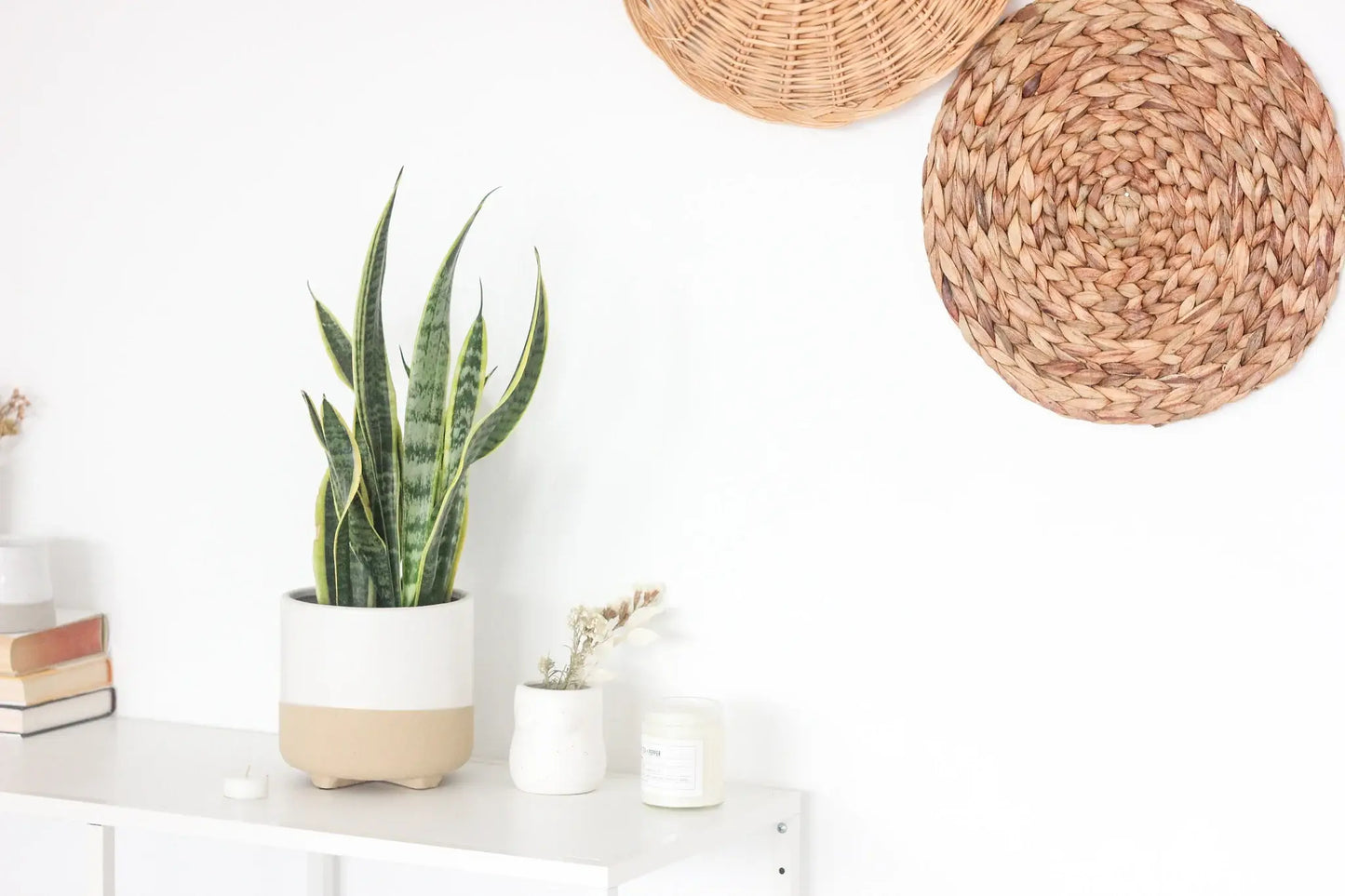 Large Neutral Matte White and Natural Minimal Footed Planter: 7