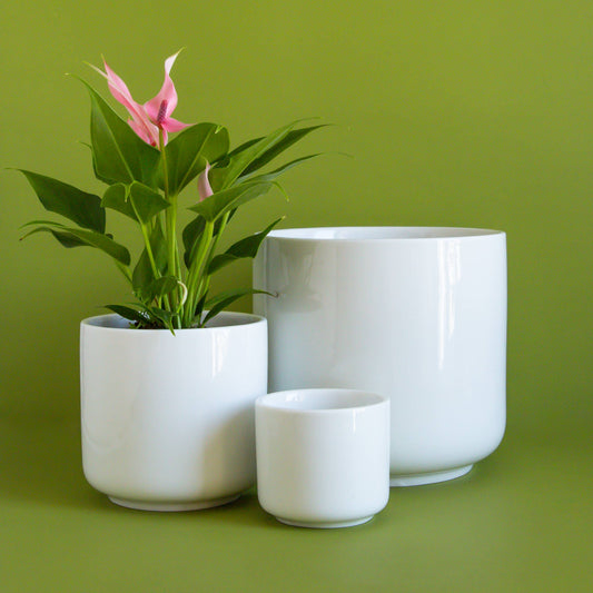 Charlie Pot | White 4.5" & 6.75": 4.5 inch