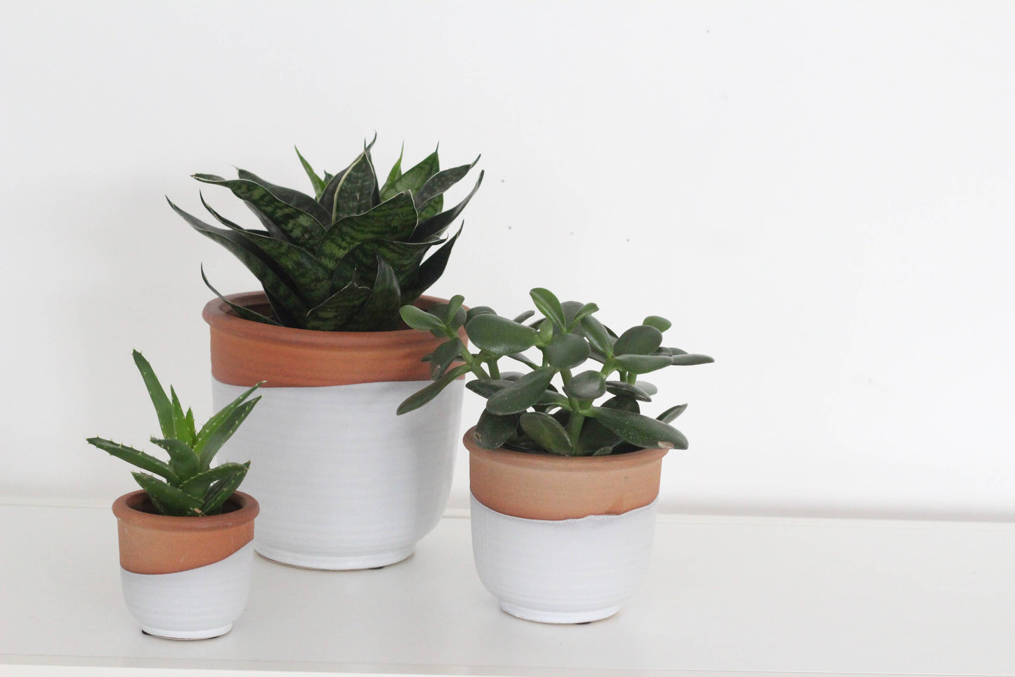 Small Terracotta and Matte White Boho Ceramic Planter Pot: 5
