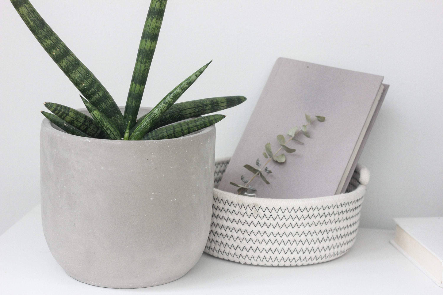 Round Concrete Indoor Planter Pot: 5"