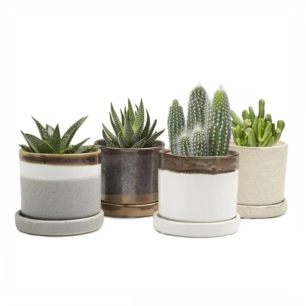 Minute Ceramic Plant Pots Indoor: Green Layers / 5"