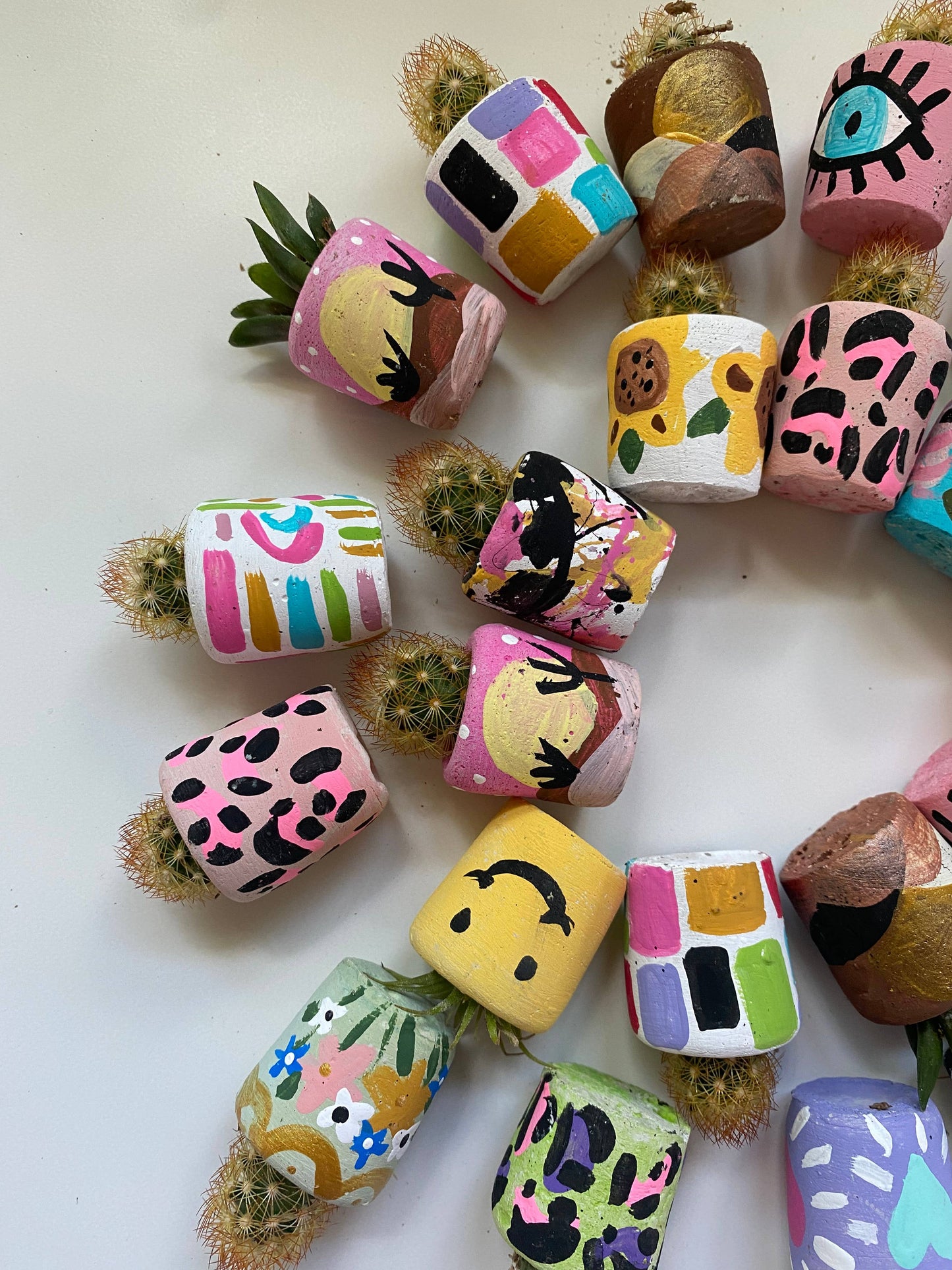 Desert Snow Mini Planter and Plant