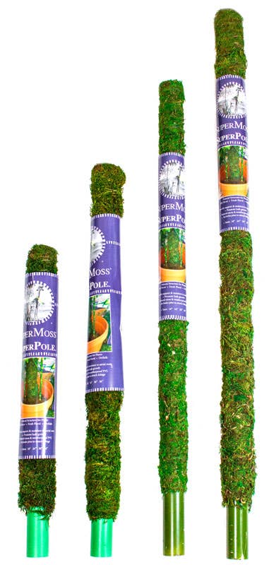 SuperMoss Moss Poles: 24"