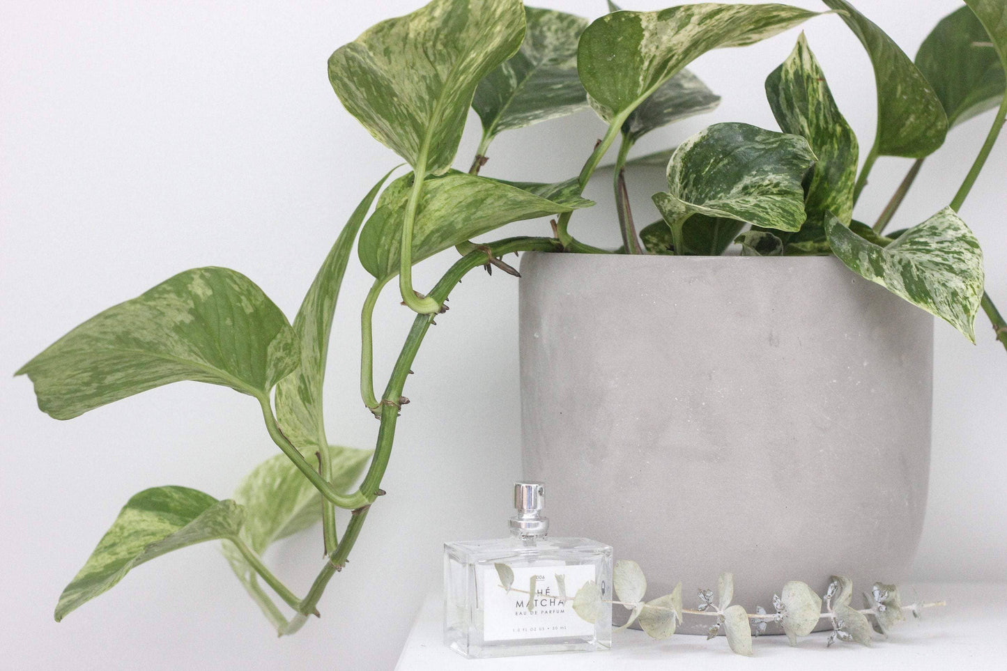 Round Concrete Indoor Planter Pot: 5"