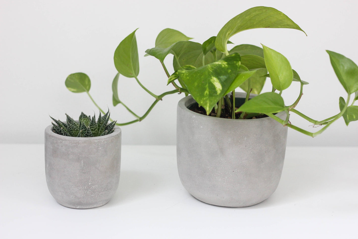 Round Concrete Indoor Planter Pot: 5"