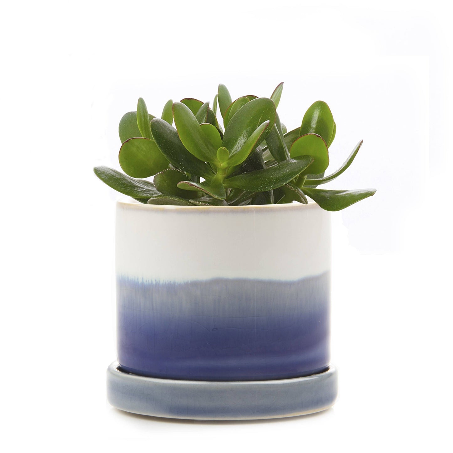 Minute Ceramic Plant Pots Indoor: Green Layers / 5"