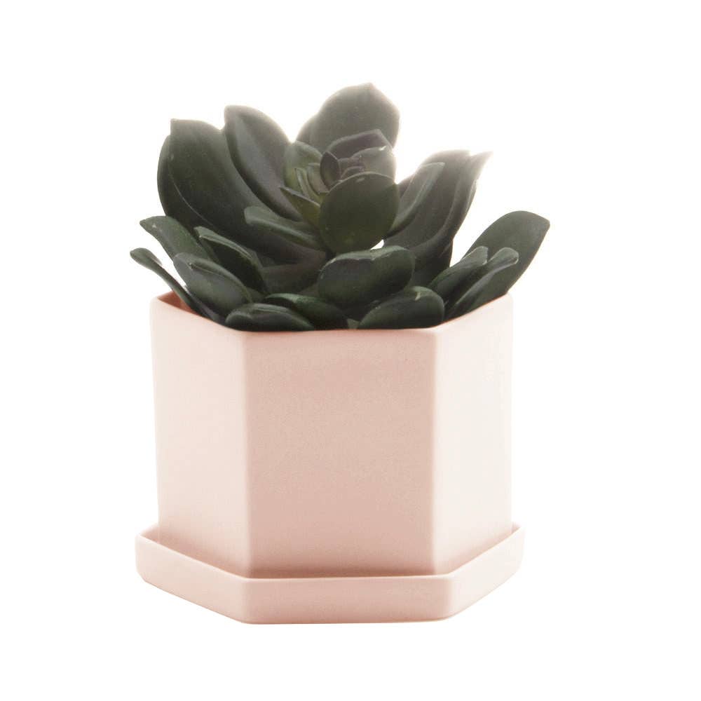 Hexi Ceramic Pots and Planters: White / 3.5"