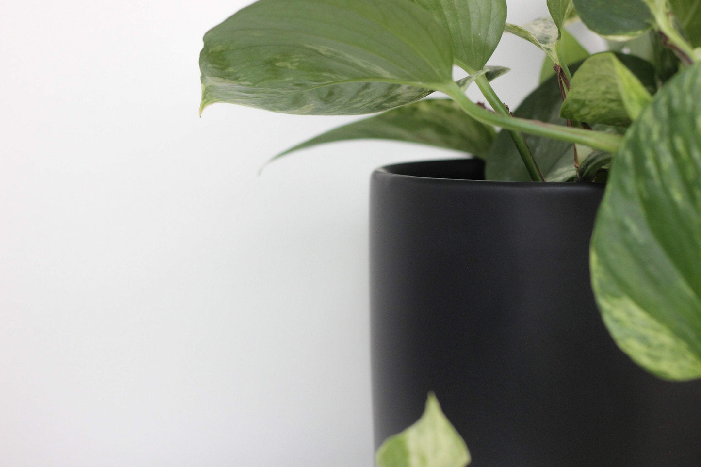 Matte Black Ceramic Cylinder Planter: 5"