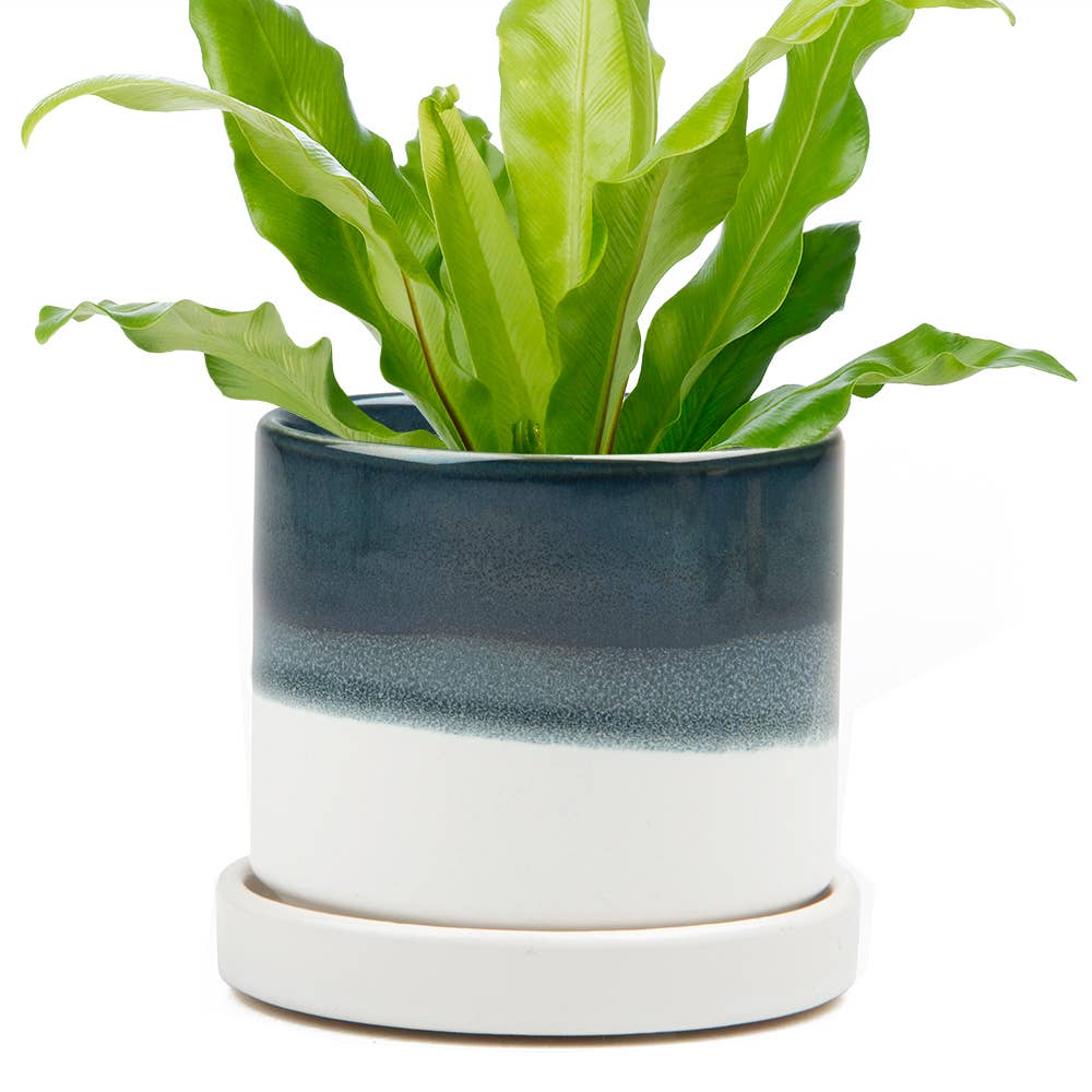 Minute Ceramic Plant Pots Indoor: Green Layers / 5"