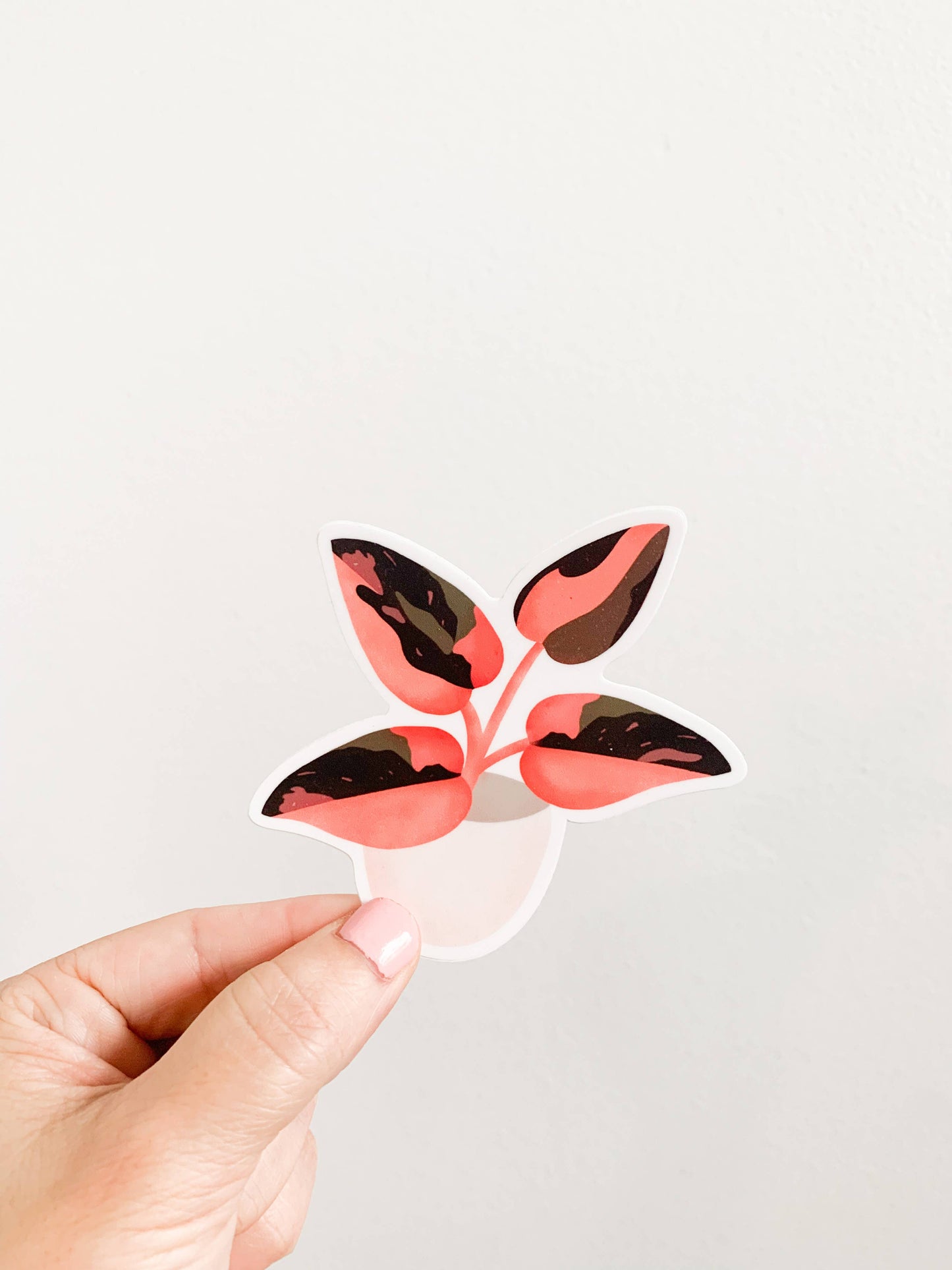 Pink Princess Philodendron Plant Sticker