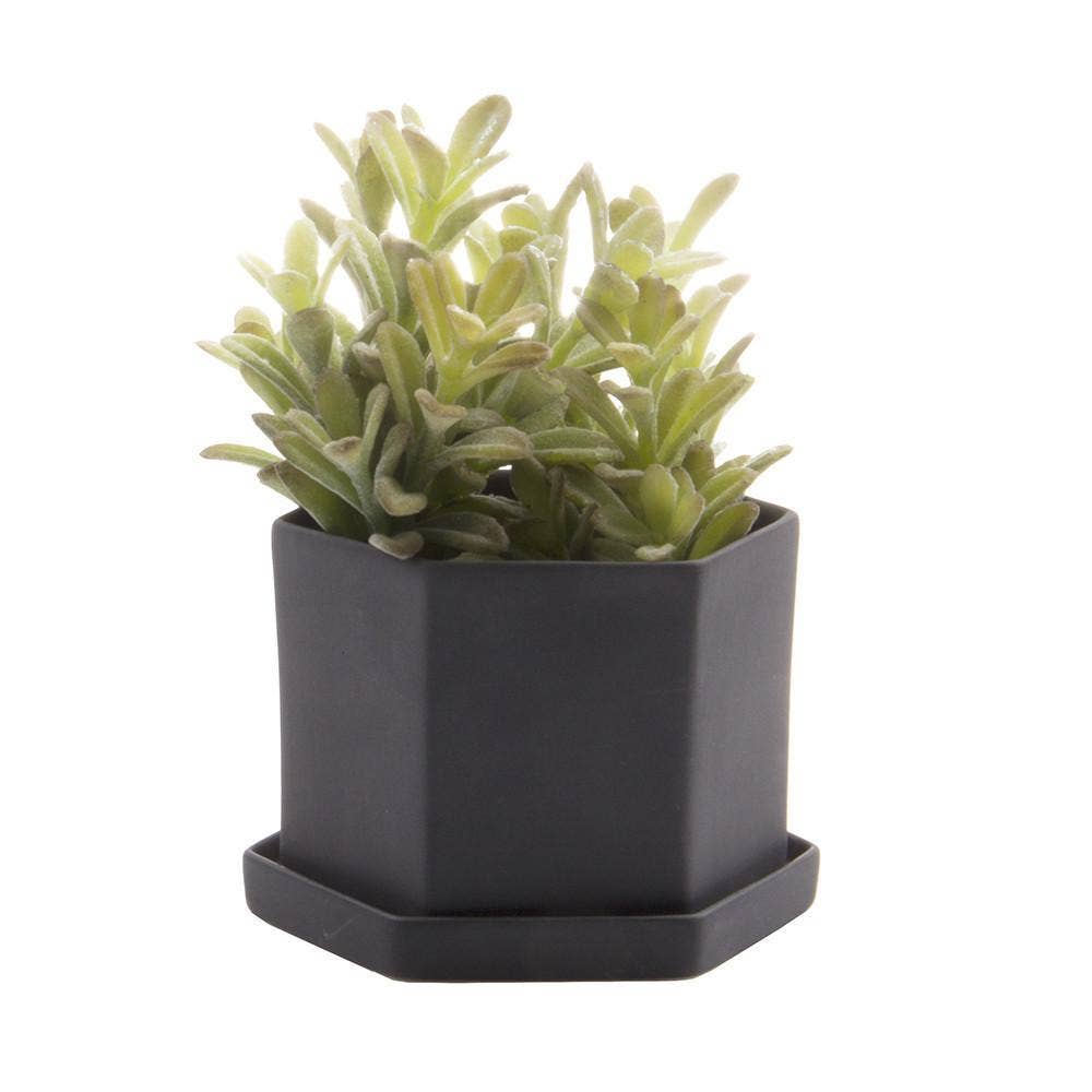 Hexi Ceramic Pots and Planters: White / 3.5"