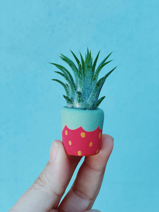 Red Strawberry Mini Planter